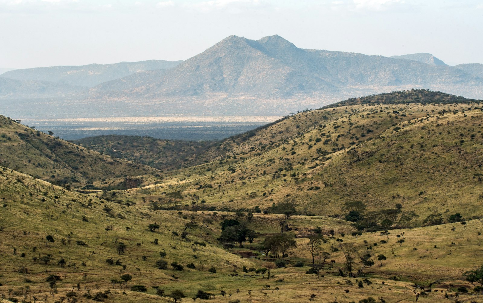 Land Consolidation